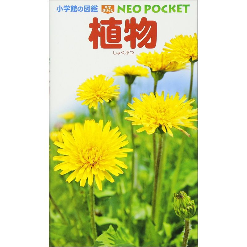小学館の図鑑NEO POCKET -ネオぽけっと- 植物