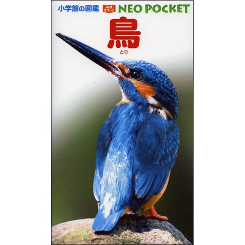 小学館の図鑑NEO POCKET -ネオぽけっと-鳥