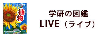 学研の図鑑LIVE（ライブ）植物 DVDつき／樋口正信｜絵本のギフト通販