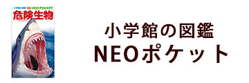 図鑑NEO POCKETポケット