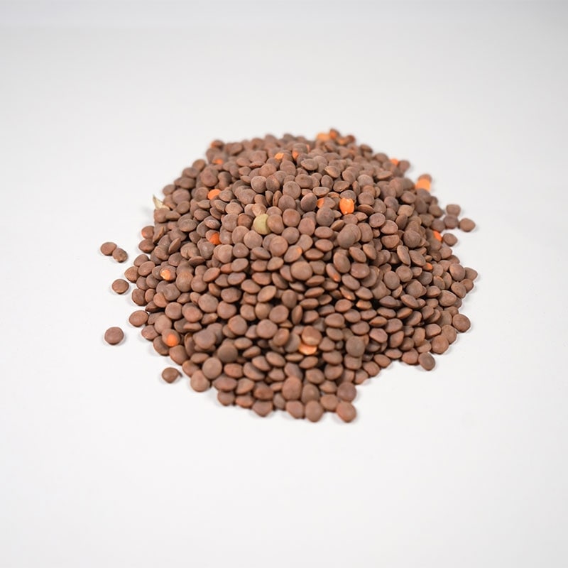 アリサン 有機茶レンズ豆 500g: オーガニックライフ・コスメ・雑貨｜クレヨンハウス