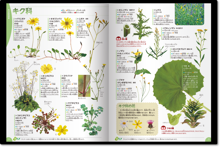 学研の図鑑「植物」 - その他