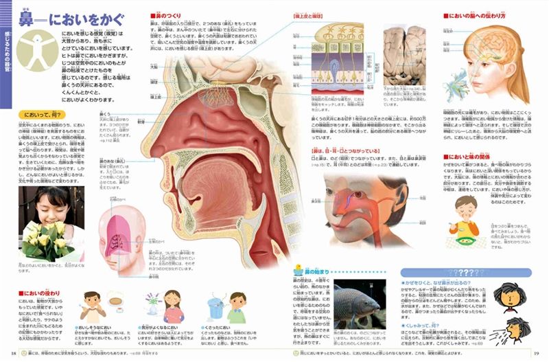 2022新発 図鑑NEO 人間 いのちの歴史