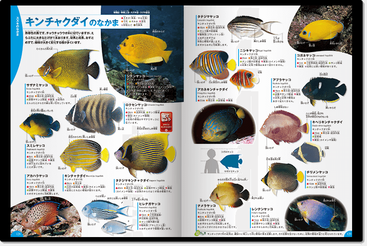 学研の図鑑　LIVE魚さかなDVD