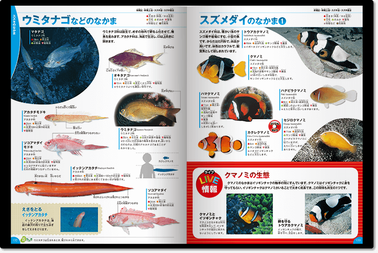 学研の図鑑　LIVE魚さかなDVD