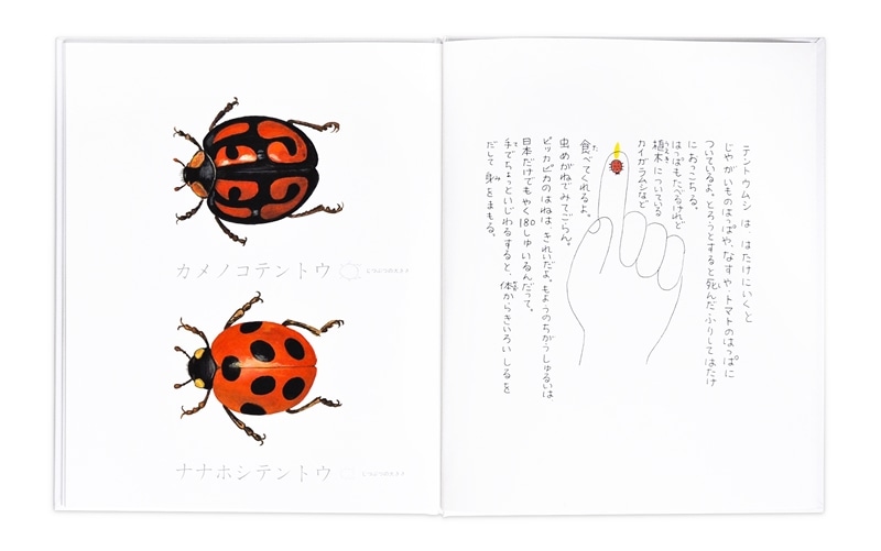 昆虫とあそぼう とだこうしろう 絵本のギフト通販 クレヨンハウス