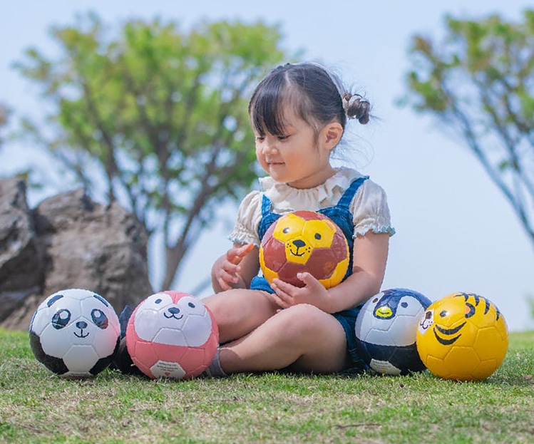 フットボールZOO