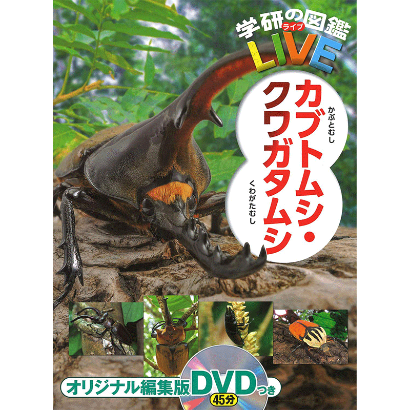 学研の図鑑LIVE（ライブ）カブトムシ・クワガタムシ DVDつき／岡島秀治 ...