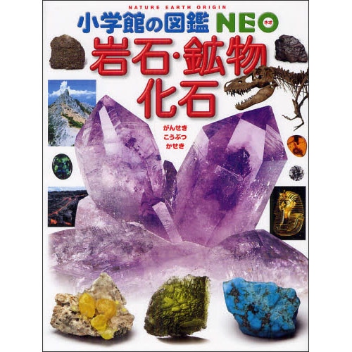 小学館の図鑑neo 岩石 鉱物 化石 萩谷宏 堀秀道 平野弘道 籔本美孝 大花民子 大路樹生 甲能直樹 大石雅之 門馬綱一 絵本のギフト通販 クレヨンハウス