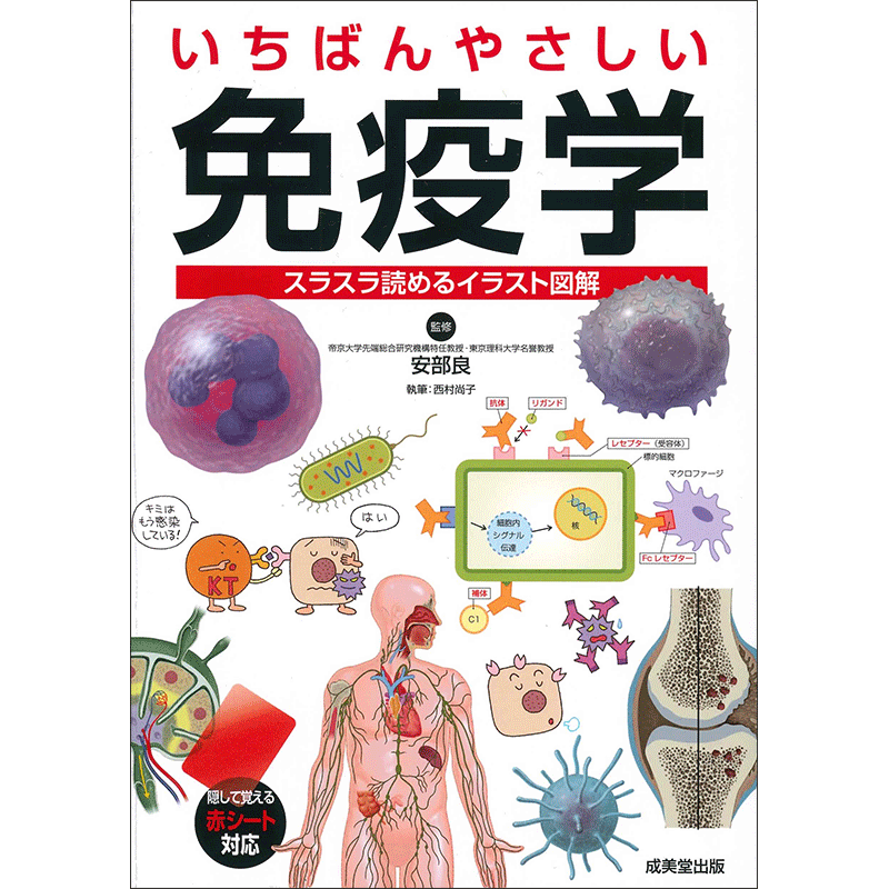 いちばんやさしい免疫学 安部良 西村尚子 絵本のギフト通販 クレヨンハウス