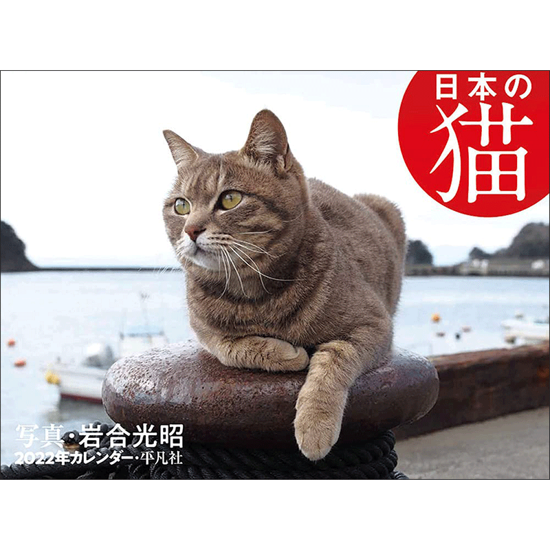 2022年カレンダー 日本の猫