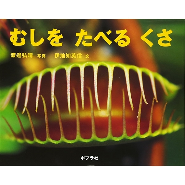 むしをたべるくさ 渡邉弘晴 伊地知英信 絵本のギフト通販 クレヨンハウス