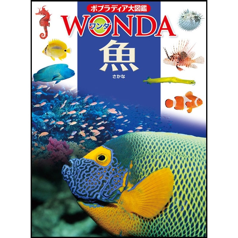 ポプラディア大図鑑WONDA6 魚／瀬能宏｜絵本のギフト通販【クレヨン 