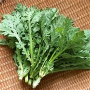 有機サラダ春菊　1束