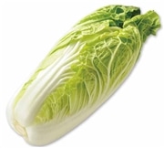 有機ミニ白菜　1個