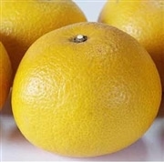 有機はっさく　1kg