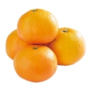 有機伊予柑　1kg