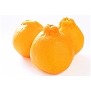 有機不知火（デコポン） 1kg