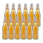 GALVANINA 有機イタリアンジンジャー 355ml＜1箱12本入り＞
