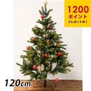 クリスマスツリー／シュヴァルツヴァルトツリー120cm【組立式】RSグローバルトレード社製