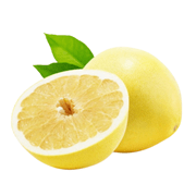 有機グレープフルーツ 1kg