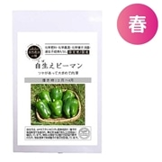 自生えピーマン【自然農法の種・固定種・国産】: オーガニックライフ