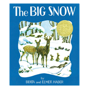 The BIG SNOW