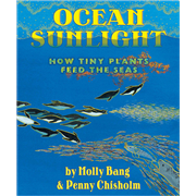 Ocean Sunlight