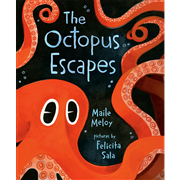 The Octopus Escapes