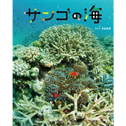 サンゴの海
