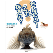 せんせい！　これなあに？　海の生きもの