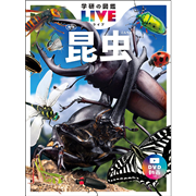 学研の図鑑LIVE（ライブ）昆虫 新版 DVDつき／丸山宗利｜絵本のギフト