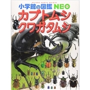 小学館の図鑑NEO カブトムシ・クワガタムシ