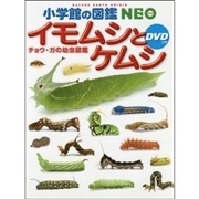 小学館の図鑑NEO イモムシとケムシ ＤＶＤつき