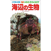 小学館の図鑑NEO POCKET -ネオぽけっと- 海辺の生物