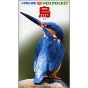 小学館の図鑑NEO POCKET -ネオぽけっと-鳥