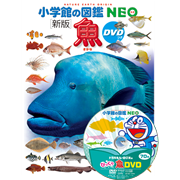 小学館の図鑑NEO［新版］魚 ＤＶＤつき