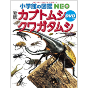 【新品】小学館の図鑑NEO 4冊(昆虫・カブトムシ・クワガタ等) 小学館の図鑑NEO［新版］カブトムシ・クワガタムシDVDつき／小池