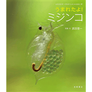 うまれたよ！　ミジンコ