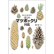 ひろった・あつめた　ぼくのマツボックリ図鑑