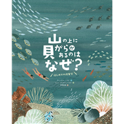 山の上に貝がらがあるのはなぜ?