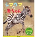 絵　シマウマ Tsunehiko Kano Photography | #シマウマ(生成AI) #Zebra