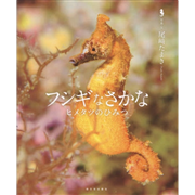 フシギなさかな
