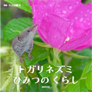 トガリネズミ　ひみつのくらし