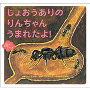 じょうおうありの　りんちゃん　うまれたよ！