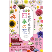 新・散歩で見かける四季の花