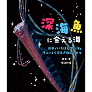深海魚に会える海