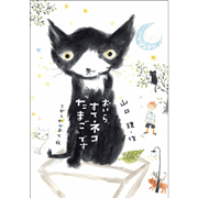 おいら、すてネコ『たまご』です
