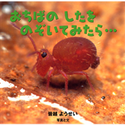 おちばのしたをのぞいてみたら…