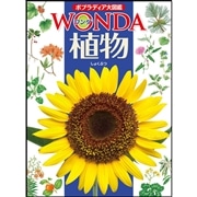 ポプラディア大図鑑WONDA4 植物